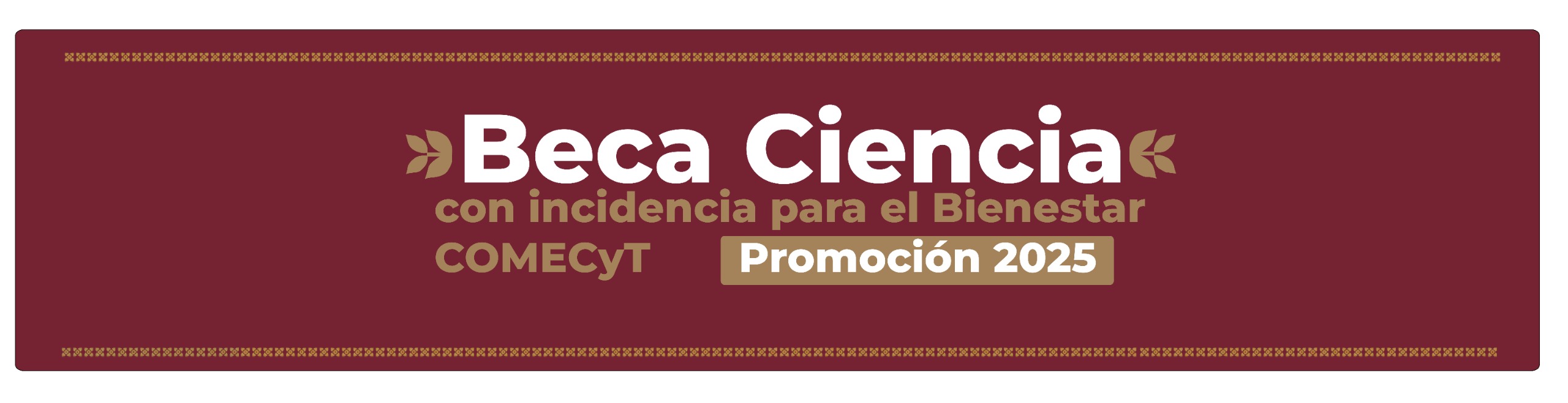 Beca ciencia